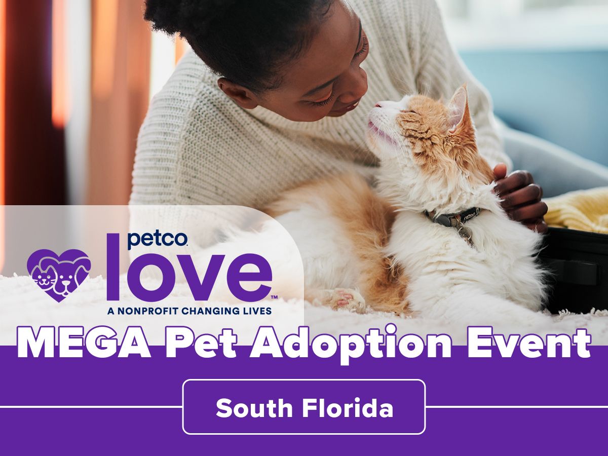 Mega Florida Adoptions
